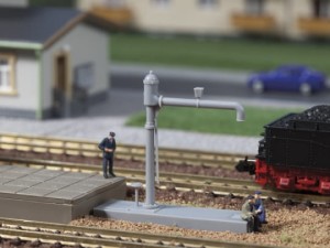 Żurawik wodny    /A43654